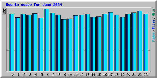 Hourly usage for June 2024