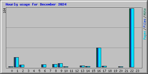 Hourly usage for December 2024