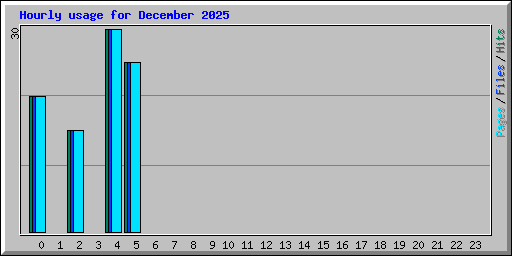 Hourly usage for December 2025