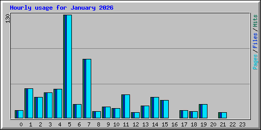 Hourly usage for January 2026